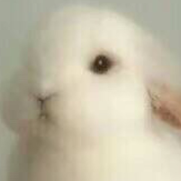 Meet your Posher, Yifei - Picture 1 of 1